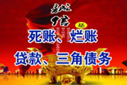 建昌催数公司